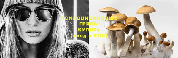 винт Балахна