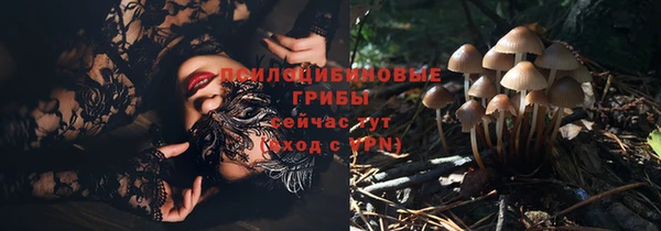а пвп мука Балабаново